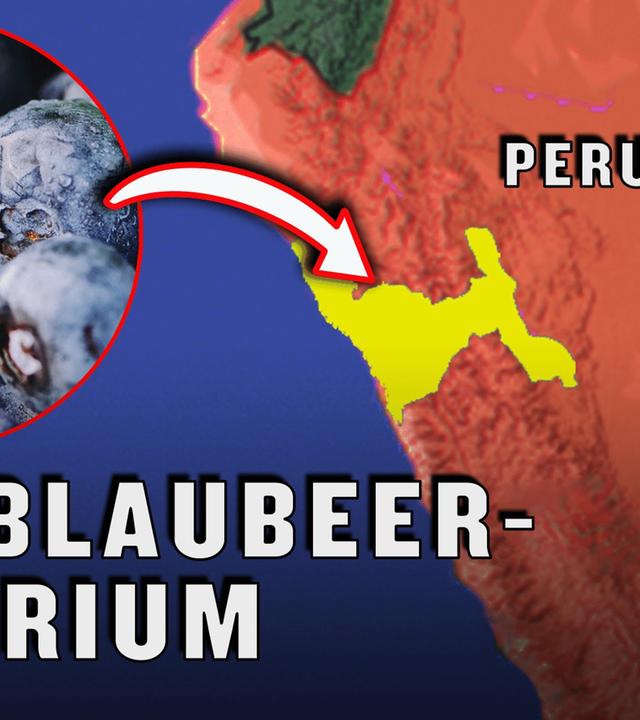 Die Schattenseiten des gigantischen Blaubeer-Booms