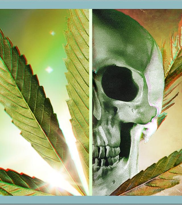 Die Wahrheit über Cannabis
