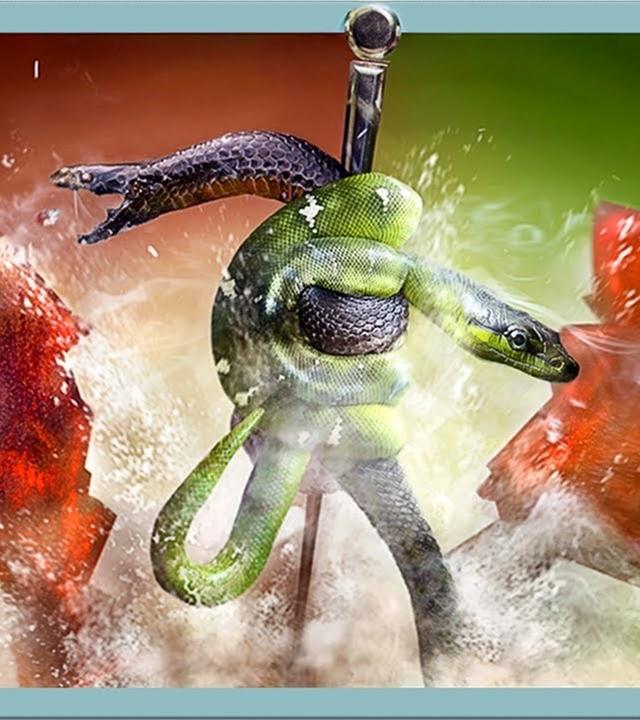 Die Wahrheit über unser Gesundheitssystem