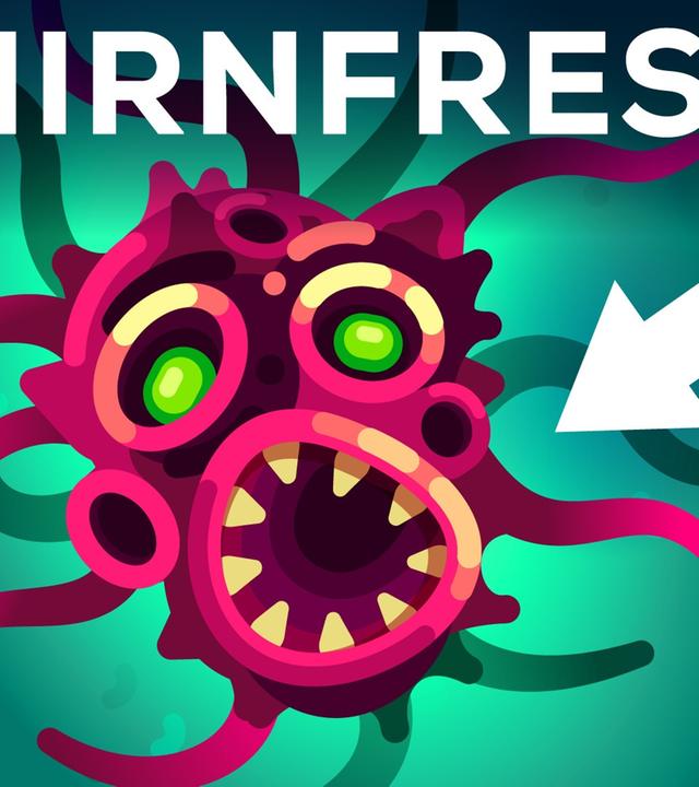 Diese Amöbe frisst dein Gehirn (und sie ist überall)