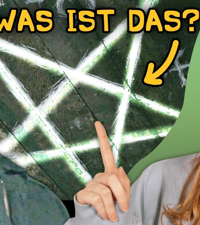 Diese DINGE habe ich in SERIEN gelernt 