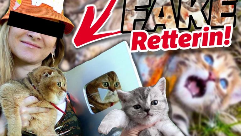 Diese Katzenbabys werden NICHT gerettet! Das miese Geschäft mit FAKE-Rettungen bei YouTube.