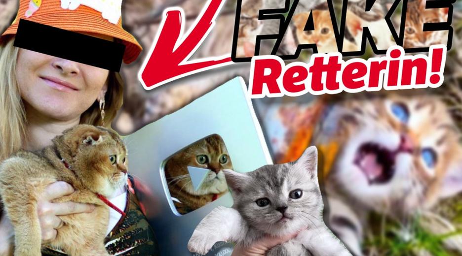 Diese Katzenbabys werden NICHT gerettet! Das miese Geschäft mit FAKE-Rettungen bei YouTube.