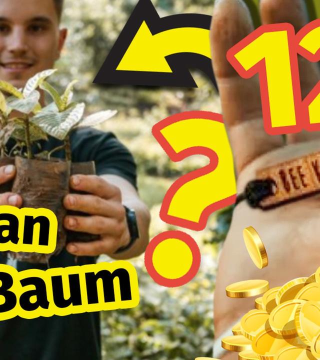 Dieses Armband pflanzt 1 Baum!  Aber SO WENIG  landet im Wald!  Wir testen 3 Shops!