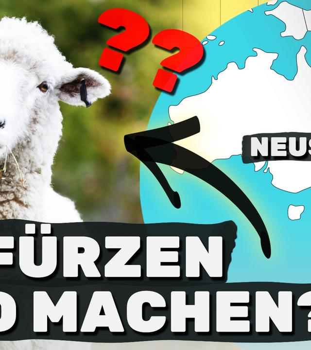 Dieses Land will eine Pups-Steuer einführen I ATLAS