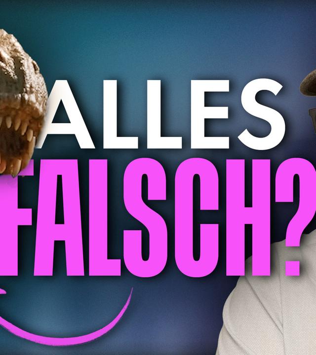 DINOS in FILMEN: Wir sprechen mit einem Profi!