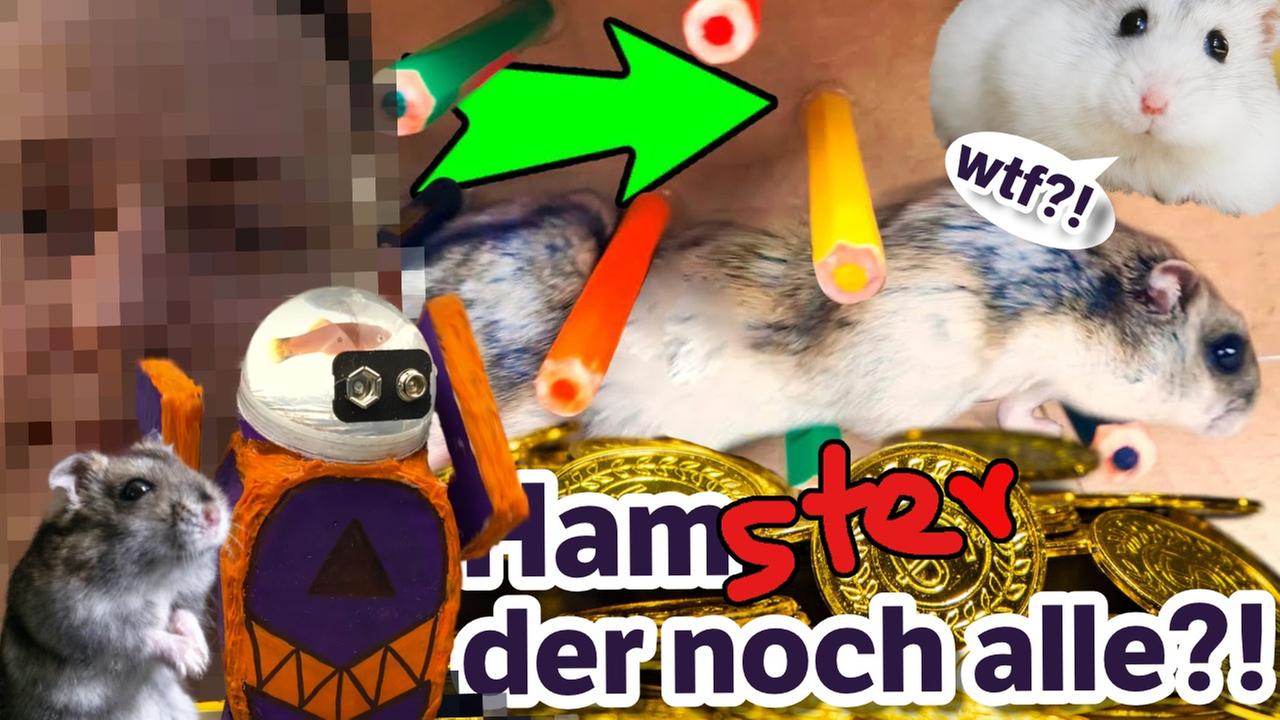 DIY Hamster Maze Exposed: ER steckt dahinter! 450.000 mit HAMSTER-HORROR aus der Ukraine?
