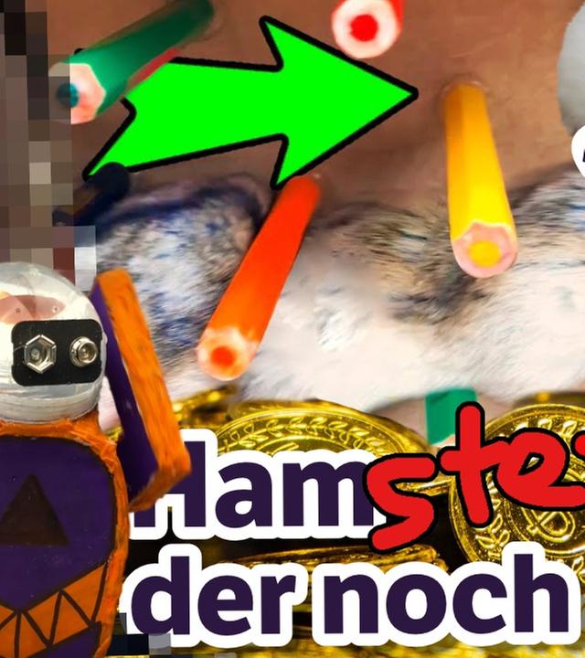 DIY Hamster Maze Exposed: ER steckt dahinter! 450.000 mit HAMSTER-HORROR aus der Ukraine?