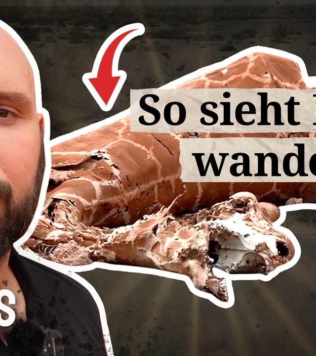 Drei Jahre ohne Regen - KLIMAKRISE in Kenia - CRISIS