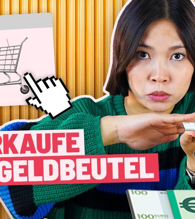 Dropshipping Challenge: Online-Shop bauen (zum Geld verdienen)