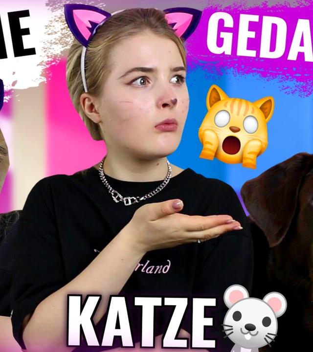 DUMME GEDANKEN einer KATZE