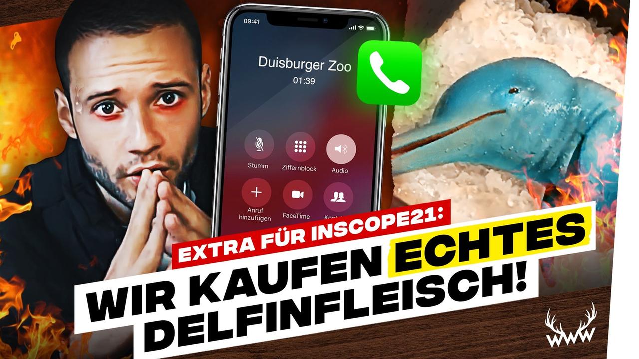 ECHTES Delfinfleisch für Inscope21! • Fler vs. LeFloid: BOXKAMPF! - #WWW