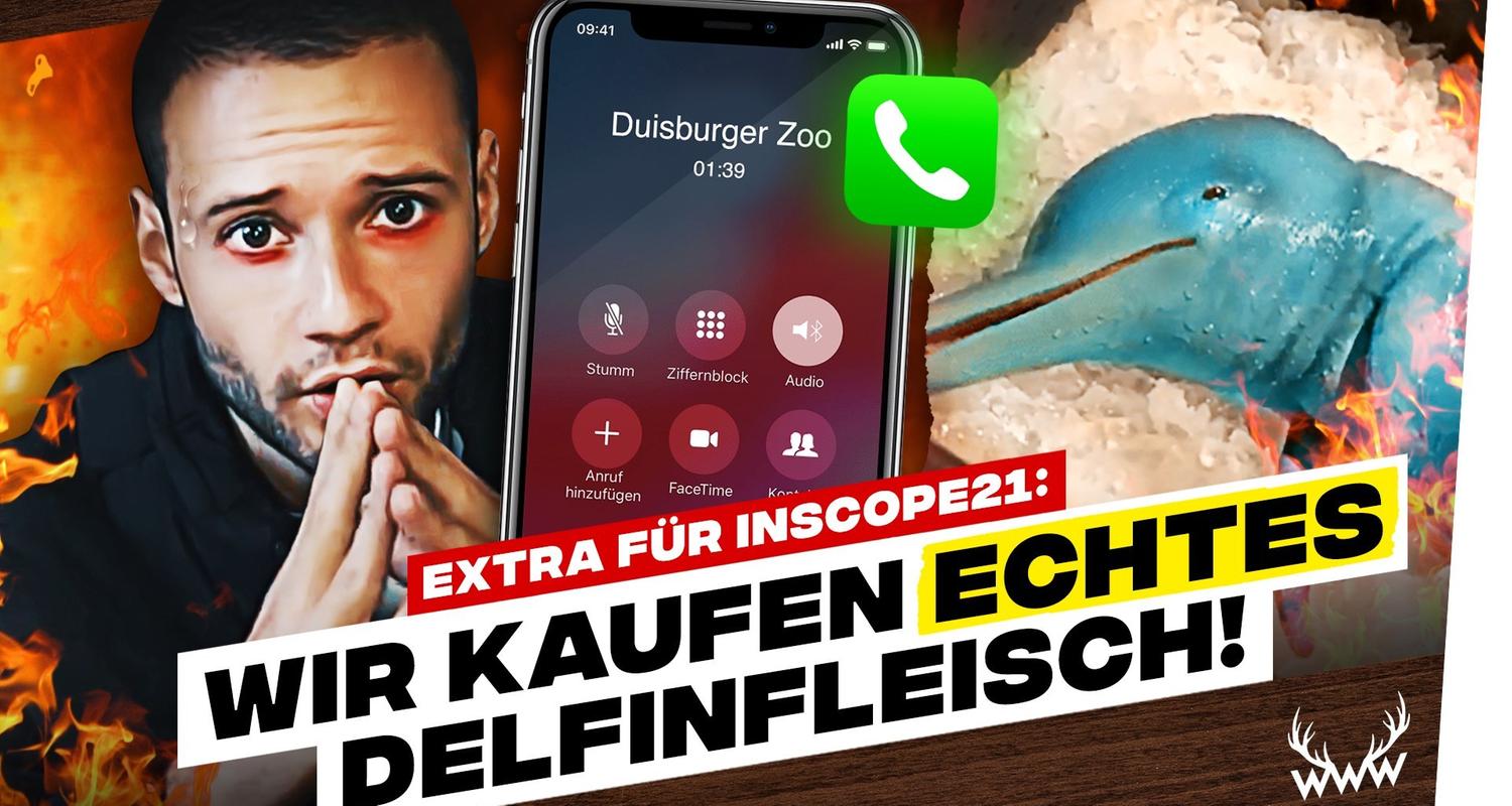 ECHTES Delfinfleisch für Inscope21! • Fler vs. LeFloid: BOXKAMPF! - #WWW