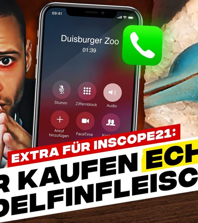 ECHTES Delfinfleisch für Inscope21! • Fler vs. LeFloid: BOXKAMPF! - #WWW