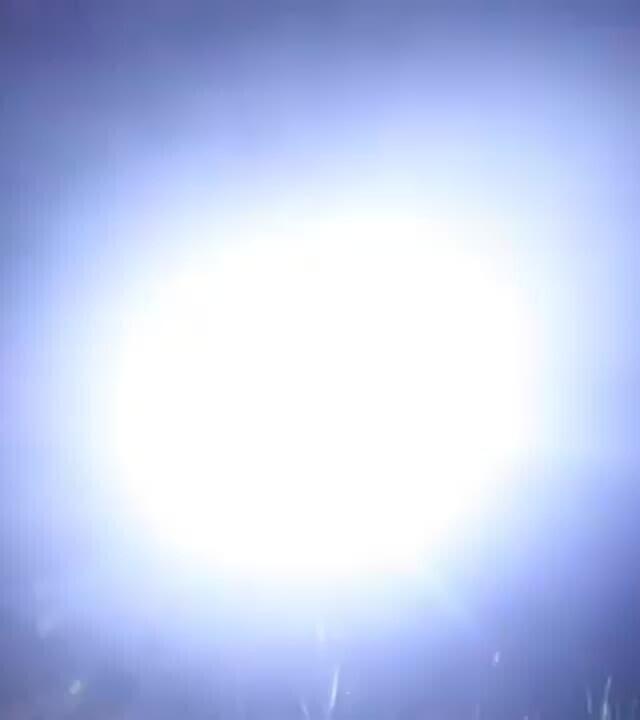 Ein kleiner Einblick hinter die Kulissen vom letzten Video oder - wie wir fast von Affen überfallen wurden! .