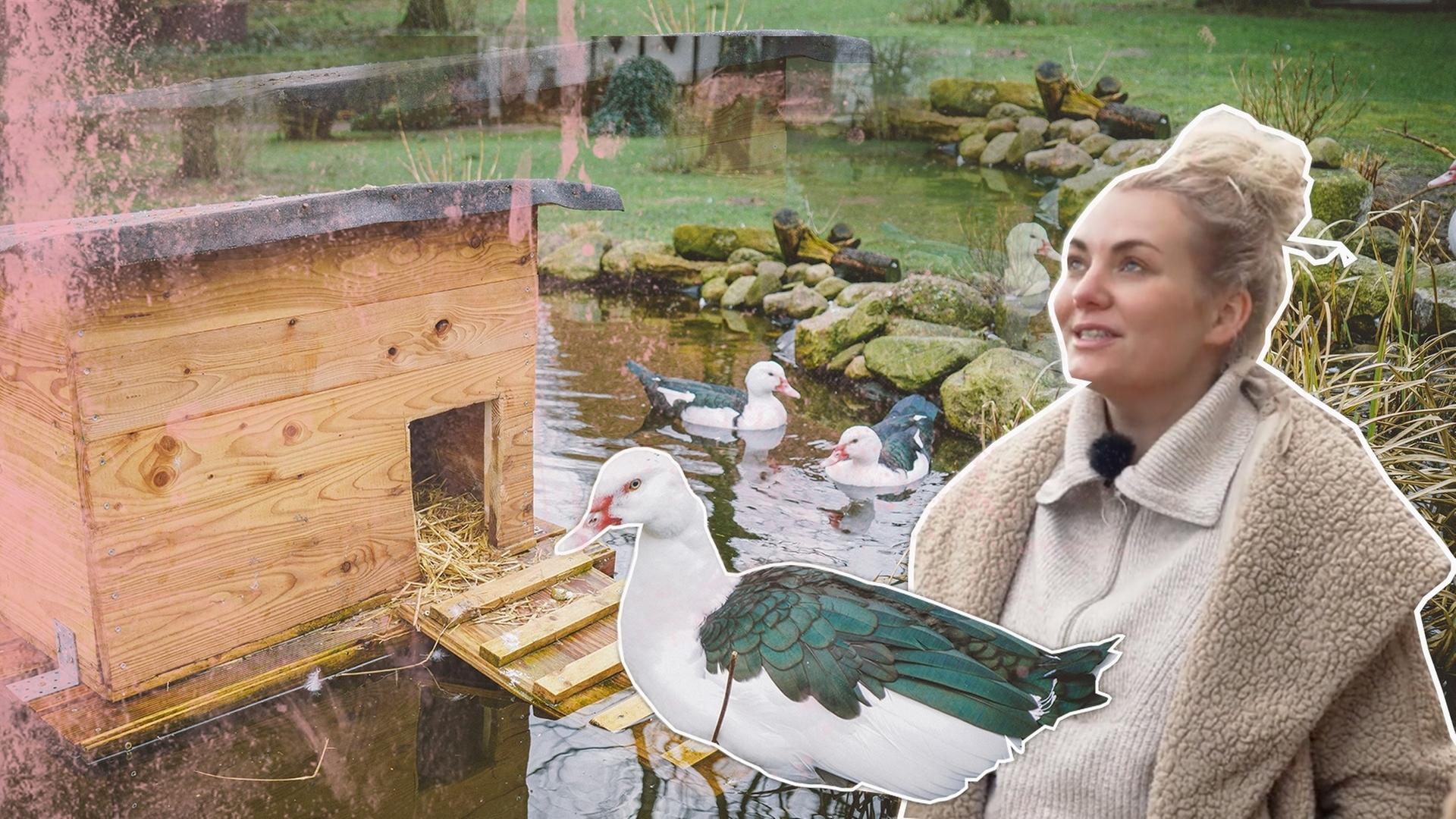 Entenhaus bauen mit Einzug! Neue Bewohner bei Fynn und Franzi