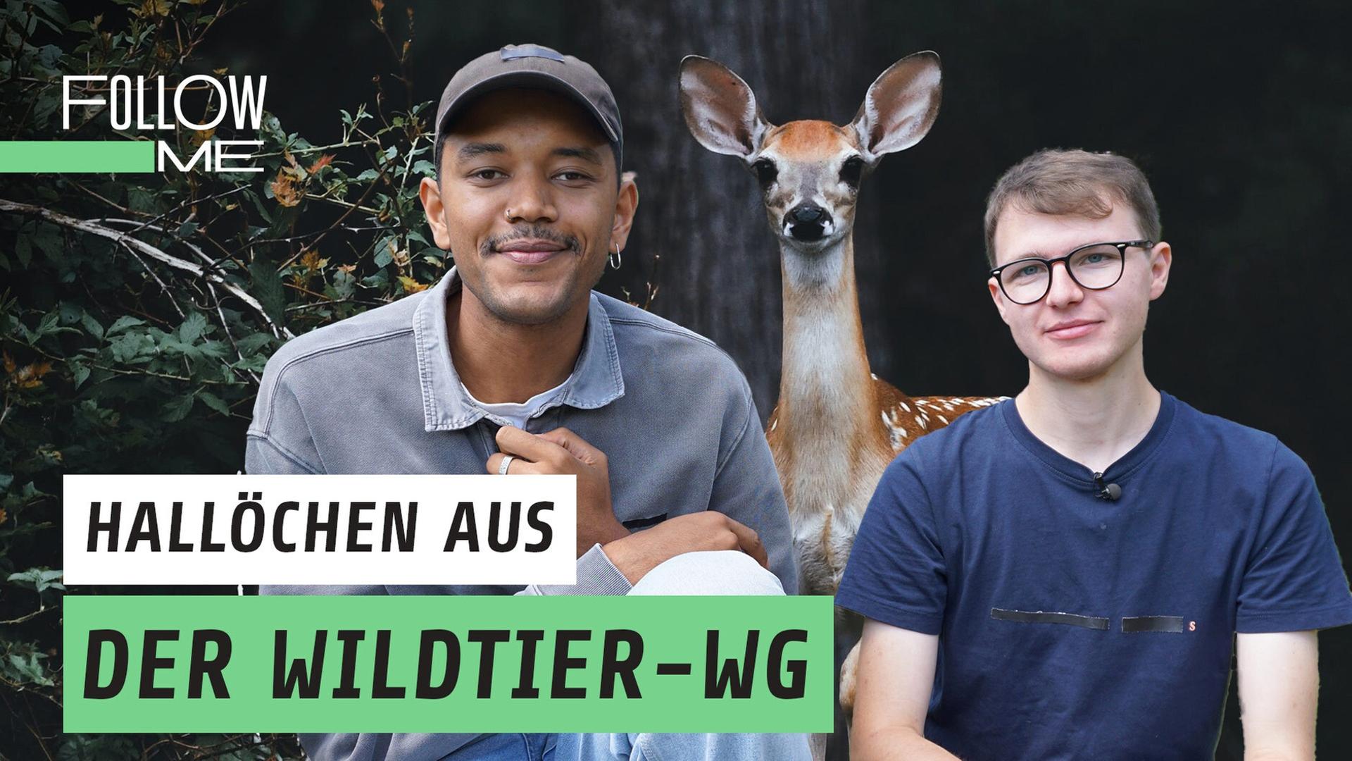 Er wohnt mit Rehbabys unter einem Dach