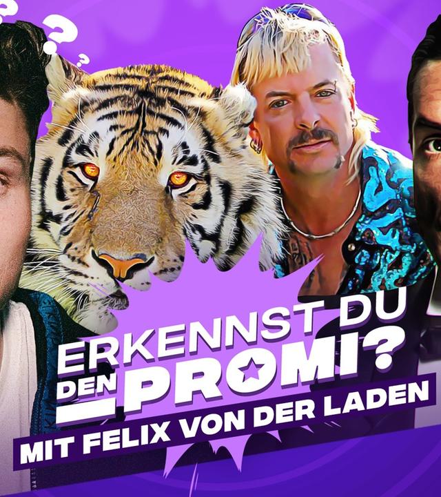 Erkennst DU den Promi? (mit Felix von der Laden)