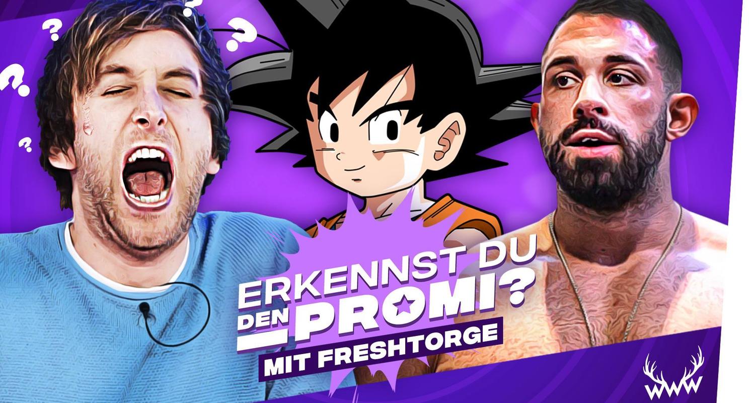 Erkennst DU den Promi? (mit Freshtorge)