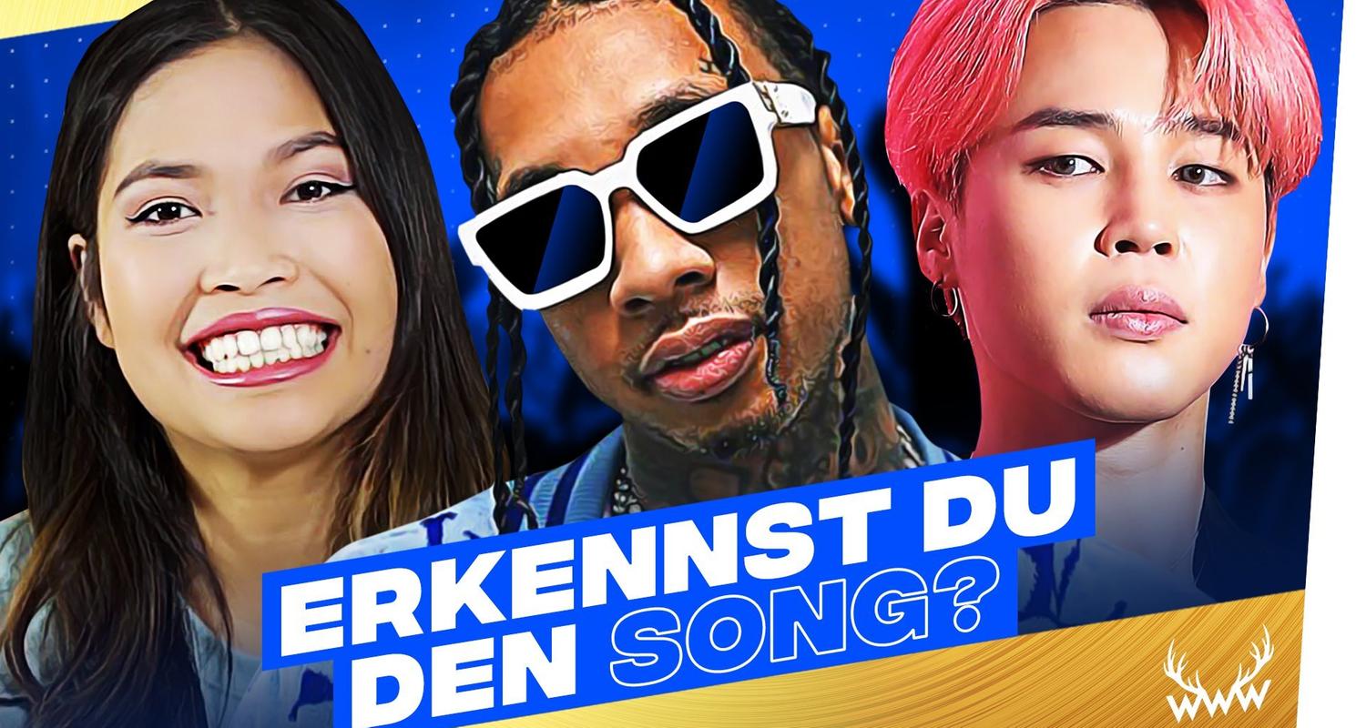 Erkennst DU den Song? (mit Pocket Hazel)