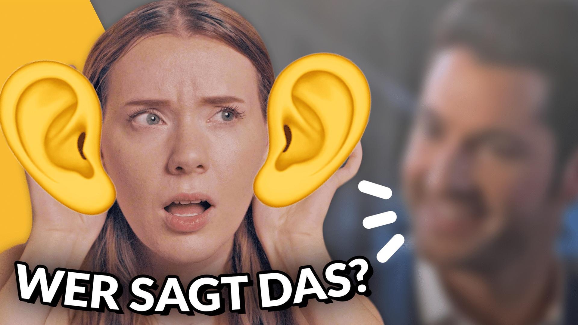 Erkennst DU die Seriencharaktere an den STIMMEN? 