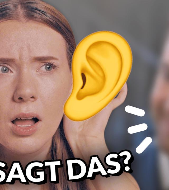Erkennst DU die Seriencharaktere an den STIMMEN? 