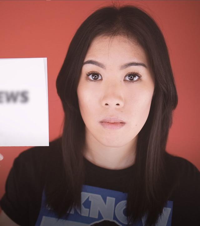 Erkennst du Fake News?