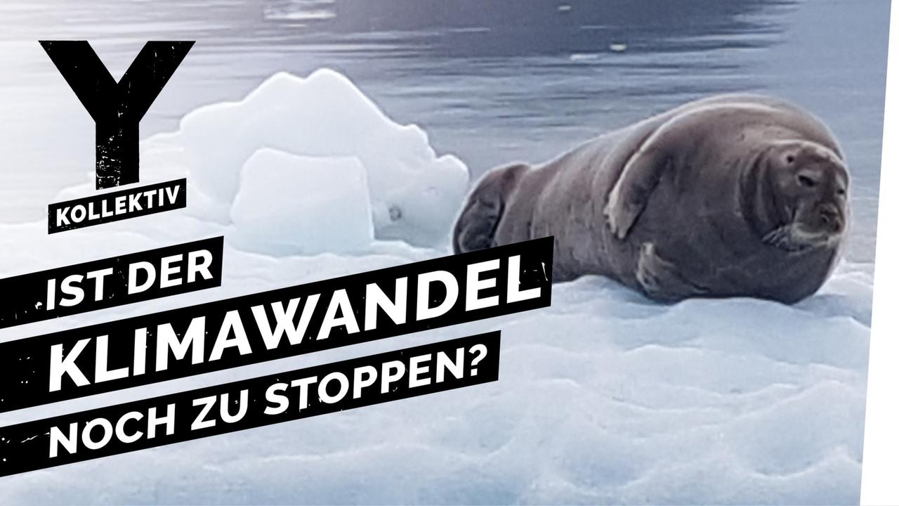 Expedition Arktis - Klimaforschung im nördlichsten Dorf der Welt