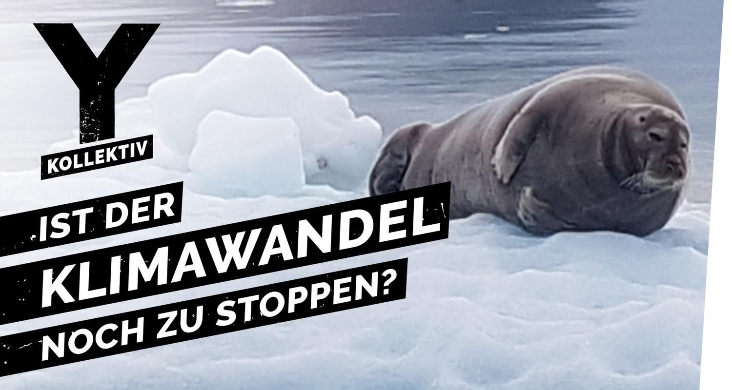 Expedition Arktis - Klimaforschung im nördlichsten Dorf der Welt