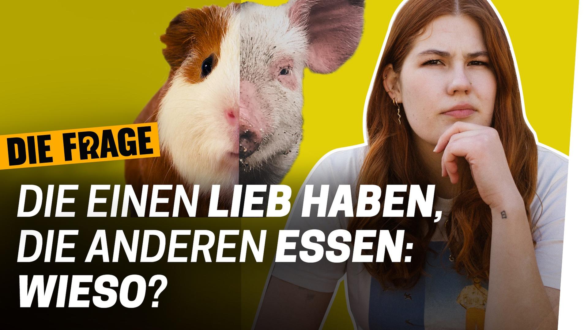 Experiment: Haustiere essen – grauenhaft oder nur konsequent? - Wann ist Töten moralisch okay? #1