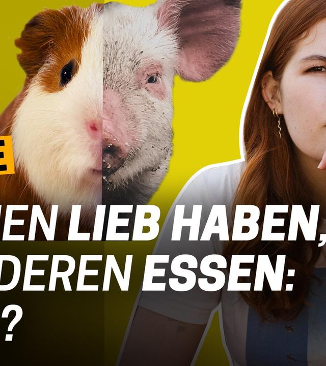 Experiment: Haustiere essen – grauenhaft oder nur konsequent? - Wann ist Töten moralisch okay? #1