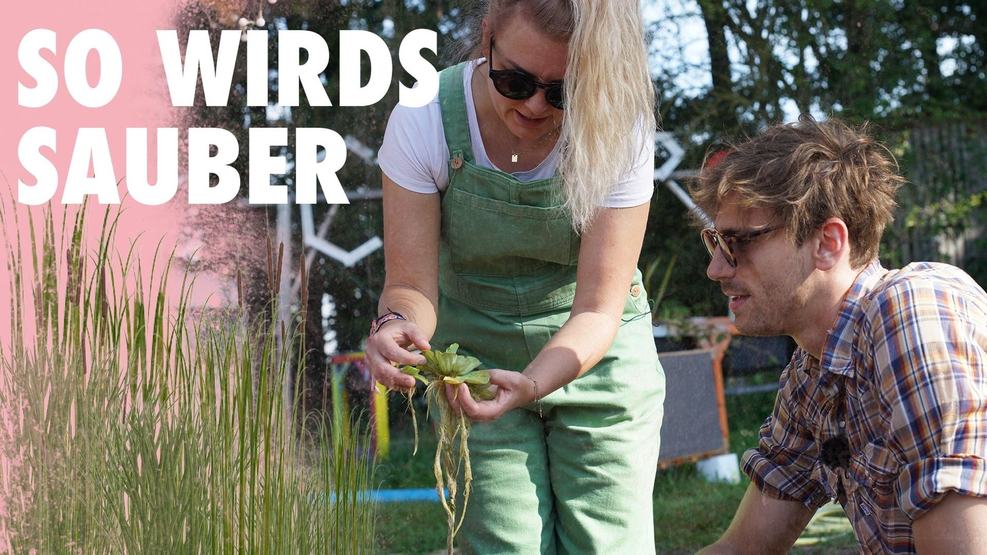 Flachwasserzone bauen - Klares Wasser im Teich