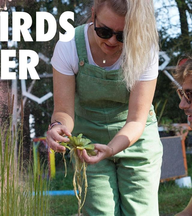 Flachwasserzone bauen - Klares Wasser im Teich