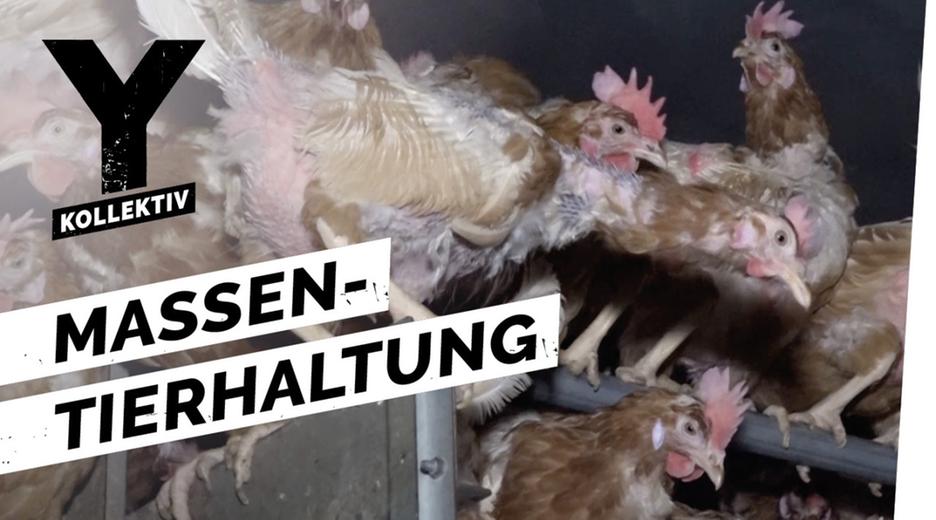 Fleisch - Massentierhaltung schmeckt!