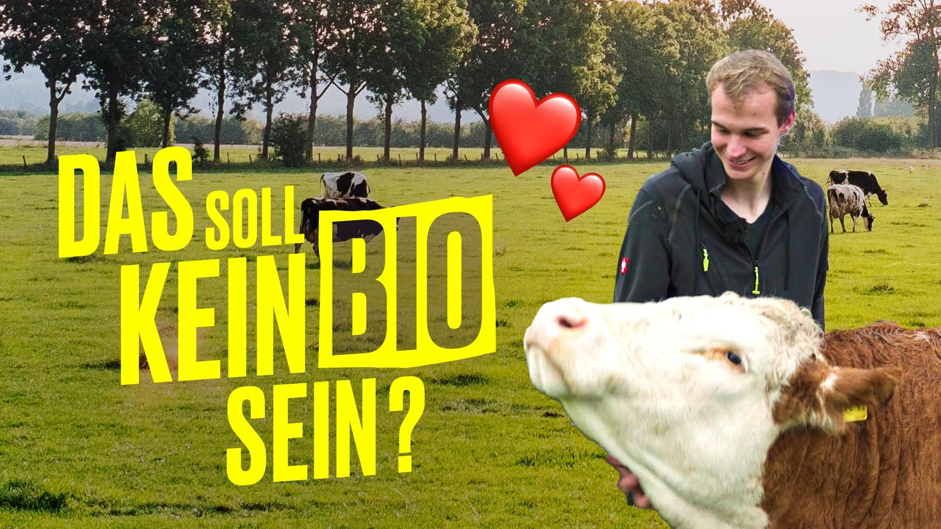 “Fleisch wird verramscht” – Meinung von Landwirt zu Haltungsstufen I Hundert Hektar Heimat