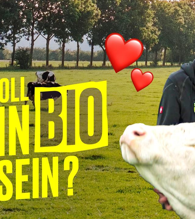 “Fleisch wird verramscht” – Meinung von Landwirt zu Haltungsstufen I Hundert Hektar Heimat