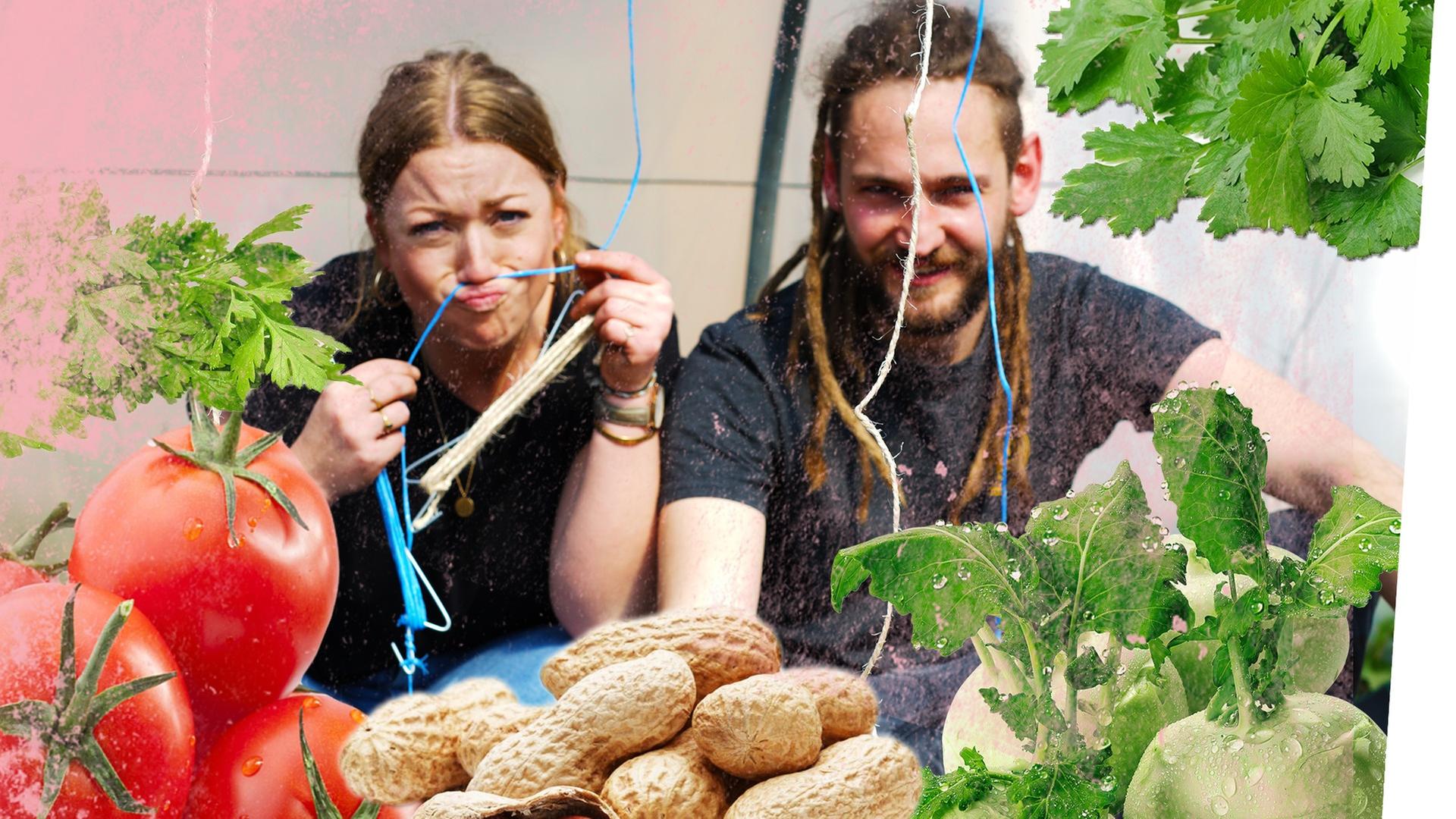 Gärtnern im April- To Dos für einen gute Ernte