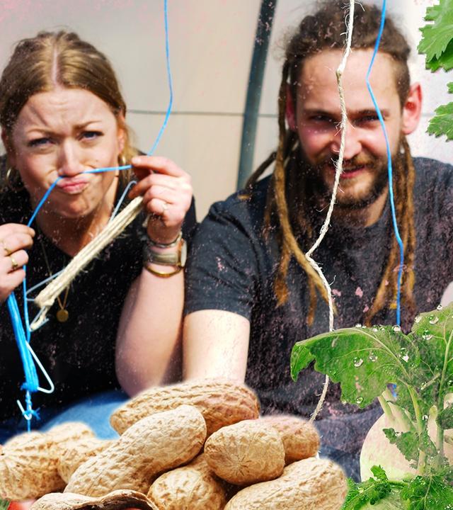 Gärtnern im April- To Dos für einen gute Ernte