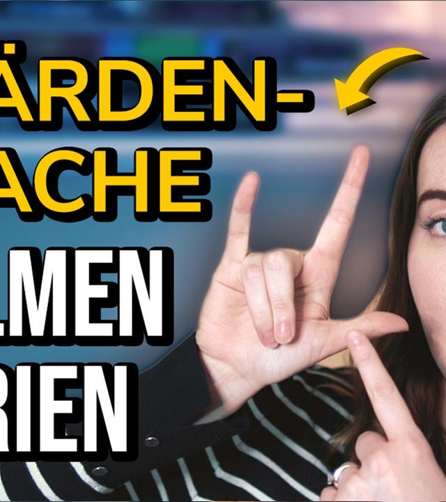 GEBÄRDENSPRACHE: Mit welchen Serien + Filmen kann man Sign Language lernen?