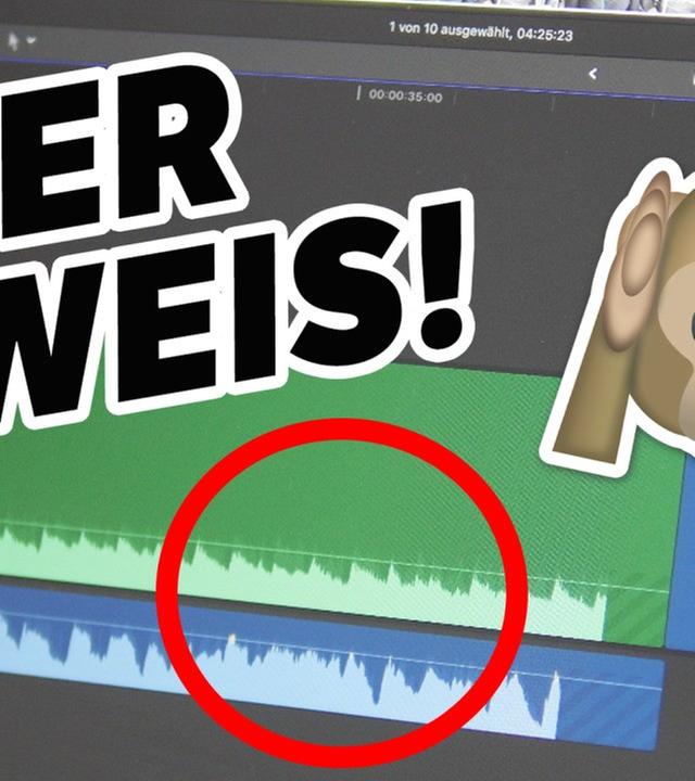 GEKLAUT? Song von BibisBeautyPalace KLINGT WIE... ?