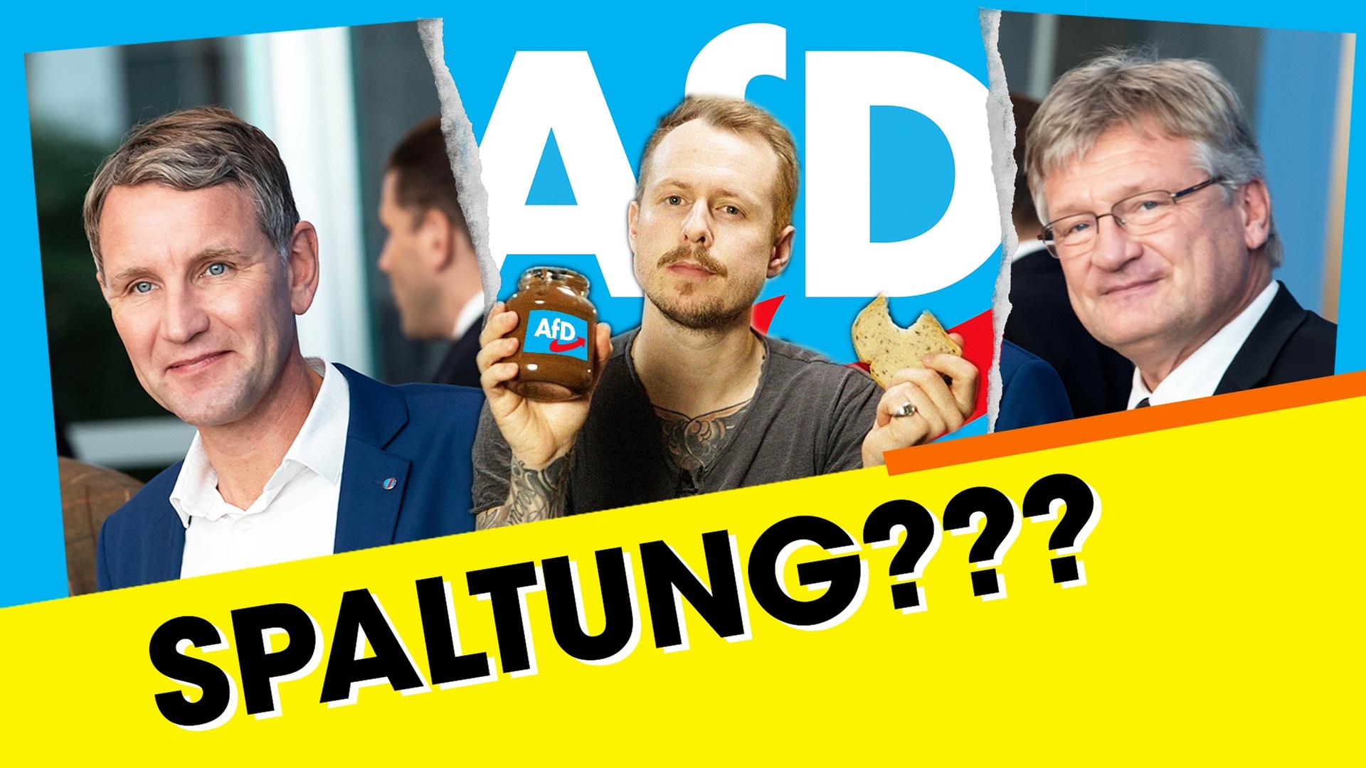 Gibt es die AfD bald DOPPELT???