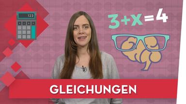 Gleichungen lösen - Mathe musstewissen