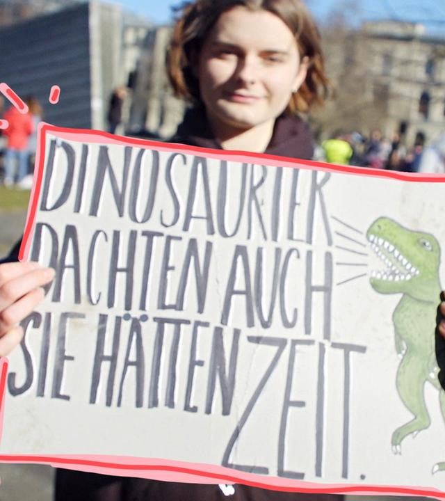 Gründe der Schüler*innen für #FridaysForFuture-Demo - Auf Klo