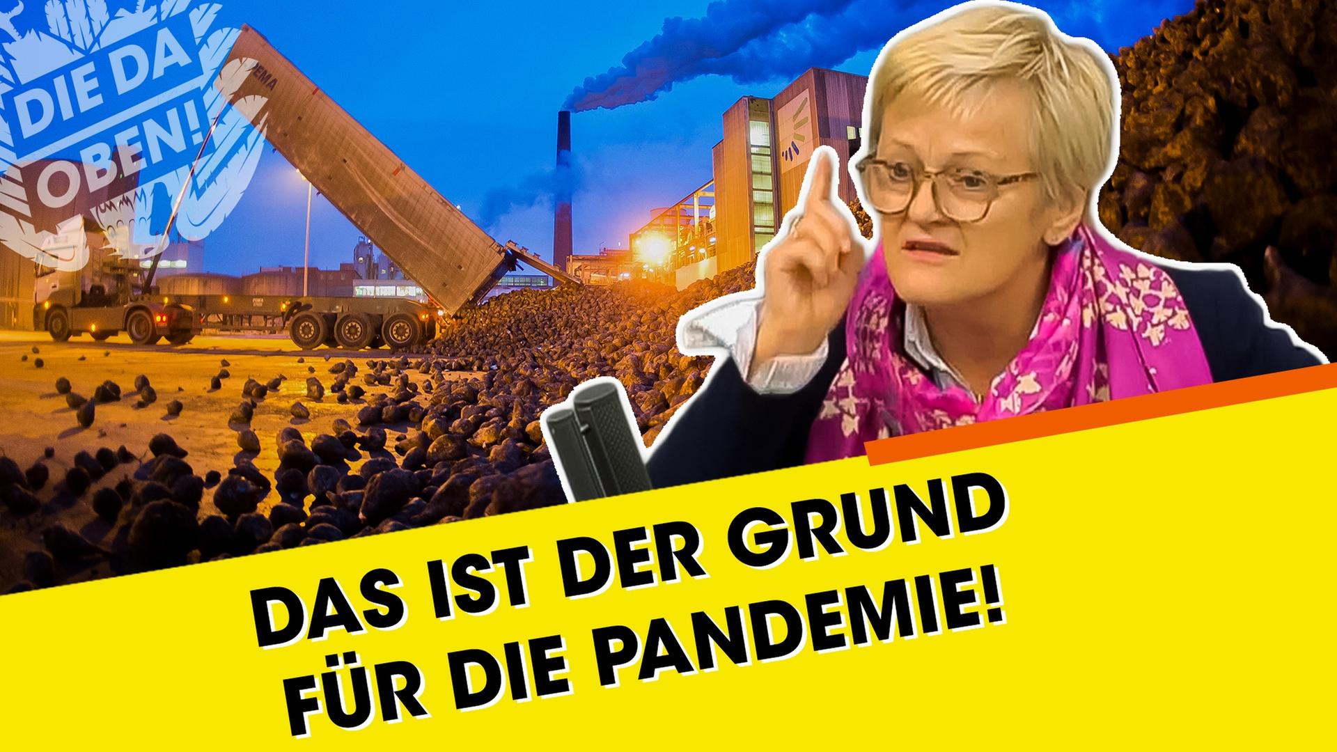 Grünen-Politikern Künast: Das ist der Grund für die Pandemie!