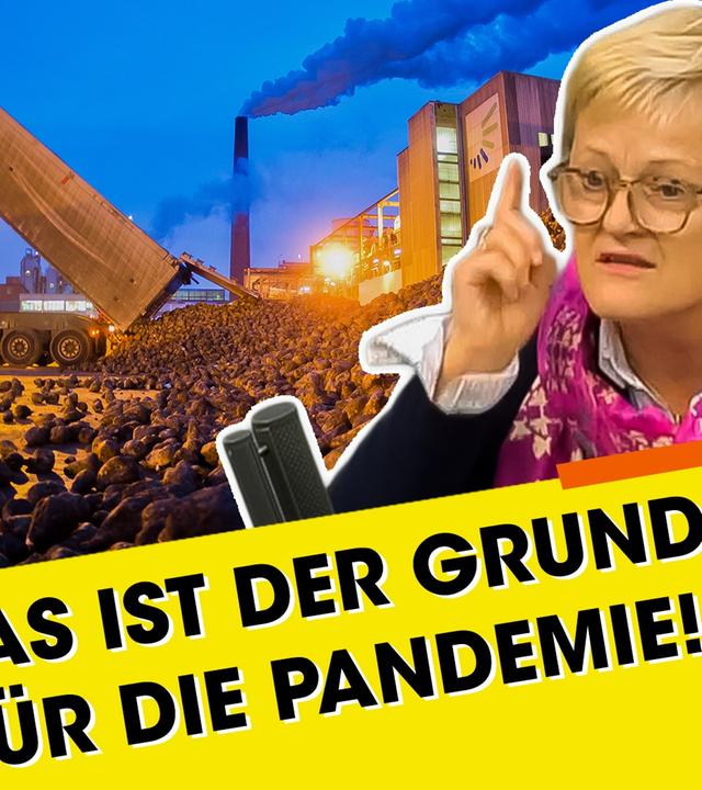 Grünen-Politikern Künast: Das ist der Grund für die Pandemie!
