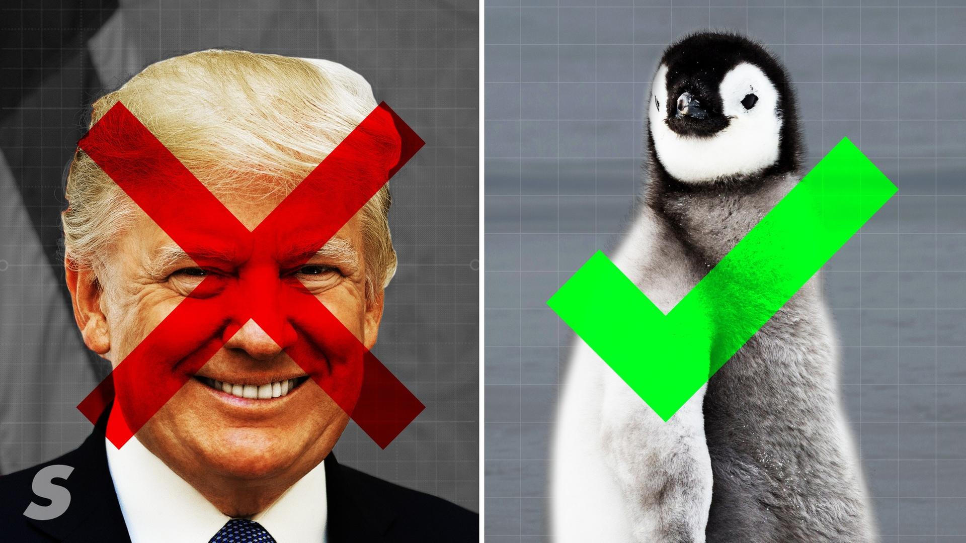 Gute Dinge, die 2020 passiert sind