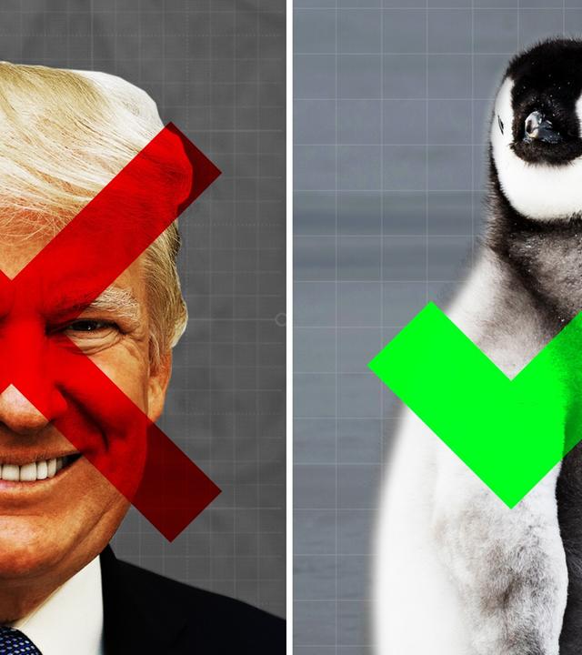 Gute Dinge, die 2020 passiert sind