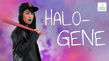 Halogene I 7. Hauptgruppe des Periodensystems I musstewissen Chemie