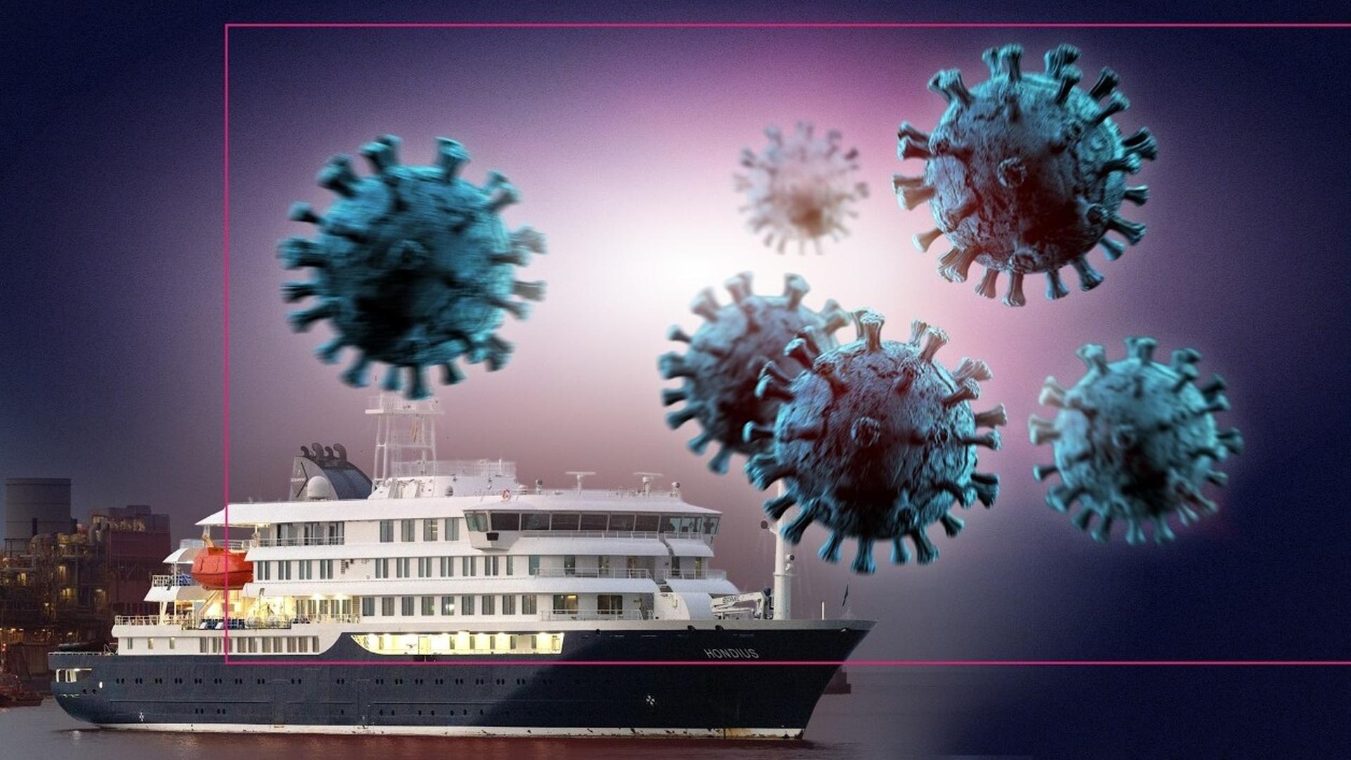 Hantavirus: Wie gefährlich ist es? - MrWissen2go