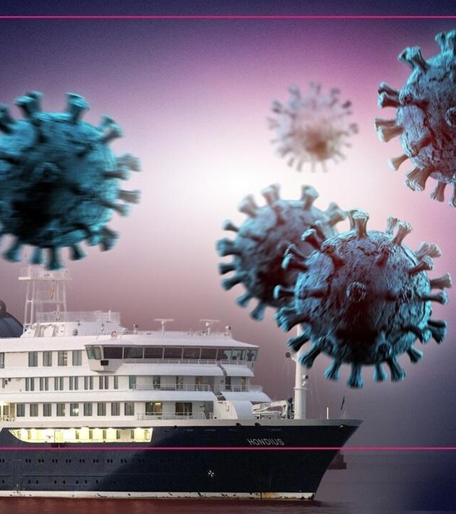 Hantavirus: Wie gefährlich ist es? - MrWissen2go